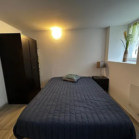 Confort Avec Wifi Au Centre De La Roche-posay, Proche Thermes, Parking Gratuit, 1-2 Pers - Fr-1-541-95 * La Roche-Posay