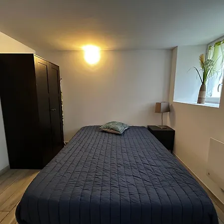 Lejlighed Confort Avec Wifi Au Centre De La Roche-posay, Proche Thermes, Parking Gratuit, 1-2 Pers - Fr-1-541-95 *