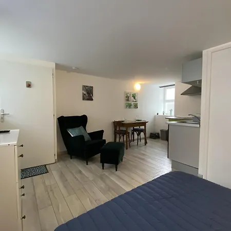 Confort Avec Wifi Au Centre De La Roche-posay, Proche Thermes, Parking Gratuit, 1-2 Pers - Fr-1-541-95 Lejlighed